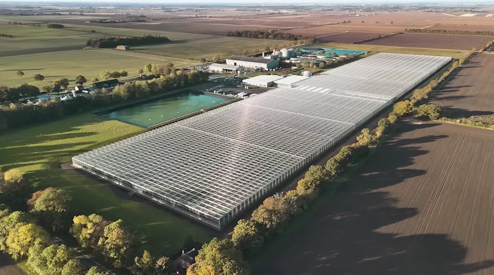 La serre de 11 hectares