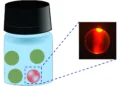 Quand des microlasers comestibles servent de codes-barres et de biocapteurs pour la sécurité alimentaire