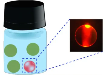 Quand des microlasers comestibles servent de codes-barres et de biocapteurs pour la sécurité alimentaire