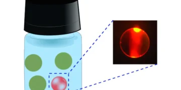 Quand des microlasers comestibles servent de codes-barres et de biocapteurs pour la sécurité alimentaire