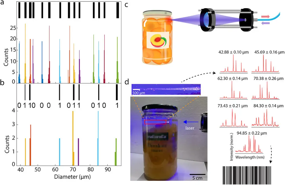 a) Distribution des tailles de gouttelettes d'huile dopées à la chlorophylle de 14 diamètres différents produites par une puce génératrice de gouttelettes. b) Distribution des tailles de gouttelettes détectées dans le bocal après que la date de la "Journée contre le gaspillage alimentaire" a été encodée en ajoutant des gouttelettes de tailles sélectionnées dans l'échantillon. Toutes les tailles ont été détectées de manière fiable. c) Schéma du dispositif expérimental pour la lecture des codes-barres, qui comprend une fibre optique pour l'excitation et la collecte des signaux d'émission. d) Lecture d'un code-barres comestible basé sur des gouttelettes d'huile dopées à la chlorophylle dans un bocal de compote. Le produit alimentaire est scanné par un laser pulsé nanoseconde à 440nm. La taille des gouttelettes est calculée à partir des spectres acquis et le code-barres correspondant est reconstruit.