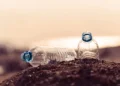 À quand des déchets plastiques biodégradables, à composter chez soi ?