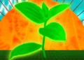 Des chimistes du MIT améliorent l'efficacité d'une enzyme clé de la photosynthèse
