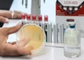 Le microbe polyvalent qui transforme le CO2 en minéraux