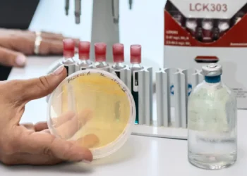 Le microbe polyvalent qui transforme le CO2 en minéraux