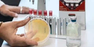 Le microbe polyvalent qui transforme le CO2 en minéraux