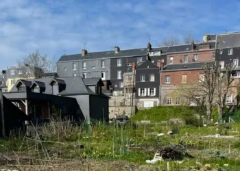 Comment redonner une nouvelle vie aux friches industrielles en ville ?