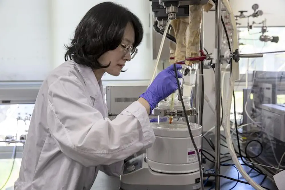 Le Dr Kee Young Koo réalise une expérience de synthèse de catalyseur à l'aide de la technologie nouvellement mise au point.