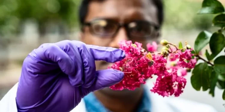 Un nouveau revêtement pour le verre promet des fenêtres économes en énergie