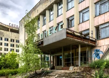 Explorer la vie animale dans l'ombre radioactive de Chornobyl et de Fukushima