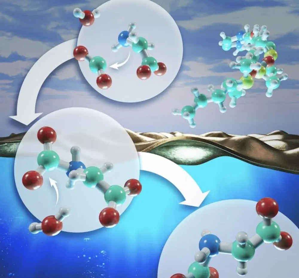 À l'interface air-eau, un acide aminé chargé négativement effectue une attaque nucléophile sur une molécule de gaz pour la convertir en produit. La vitesse de réaction est améliorée grâce à une réduction significative du couplage dynamique de l'eau du solvant avec les voies de réaction à l'interface