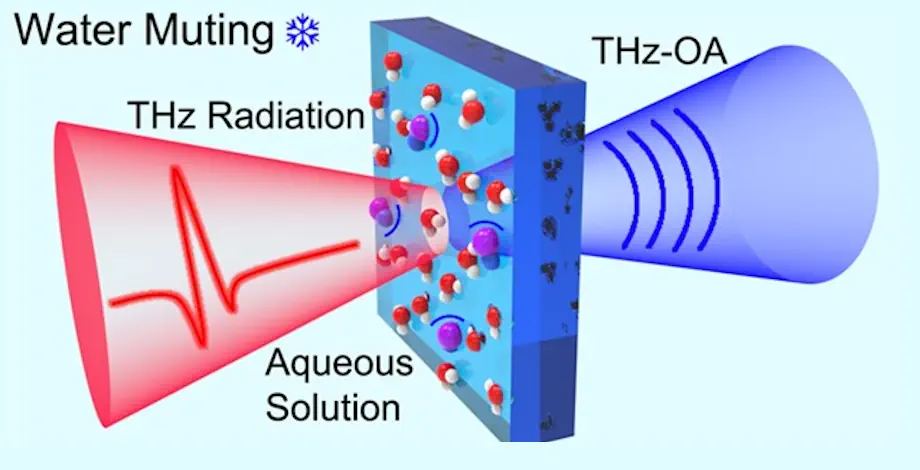 Des chercheurs ont mis au point un système de spectroscopie térahertz optoacoustique (OA) qui peut être utilisé pour la surveillance à long terme et non invasive des niveaux de sodium dans le sang. Leur approche permet de réduire les interférences causées par l'eau, qui absorbe fortement le rayonnement térahertz.
