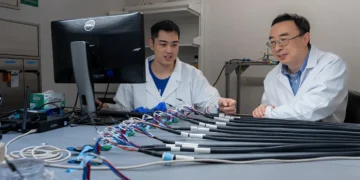 La chimie des électrodes épaisses est plus importante que la structure pour la performance des batteries