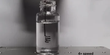 Une méthode d'impression 3D transforme des polymères biodégradables en composants électroniques conducteurs