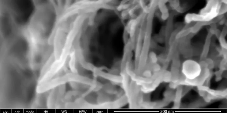 La voie électrochimique permet de synthétiser des fullerènes géants à moindre coût et avec moins d'impact sur l'environnement