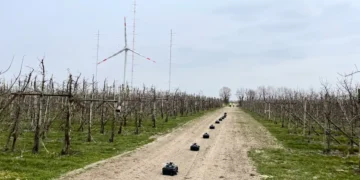 Le DLR étudie le sillage proche des éoliennes