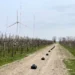 Le DLR étudie le sillage proche des éoliennes