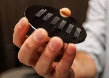 Un projet vise à prédire comment les très petites particules se déplacent dans les environnements poreux