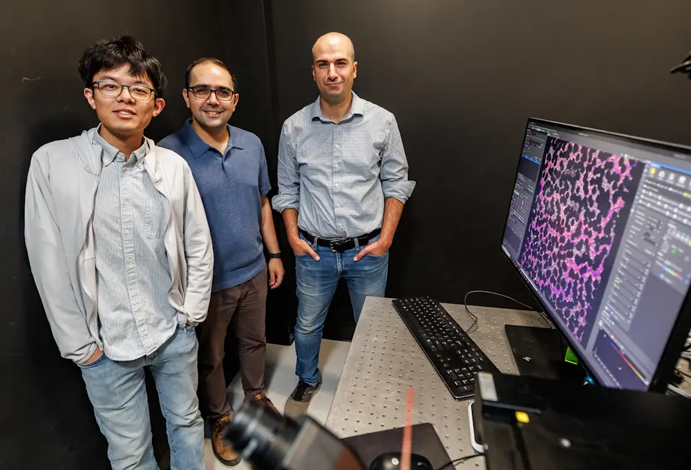 Haoyu Liu, étudiant diplômé, Mobin Alipour, chercheur postdoctoral, et Pahlavan. Le projet utilisera une combinaison d'expériences, de simulations numériques et de modélisation théorique pour déterminer les effets des gradients chimiques.