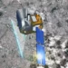 Voir la planète respirer depuis l’espace, ou comment mesurer les gaz à effet de serre par satellite
