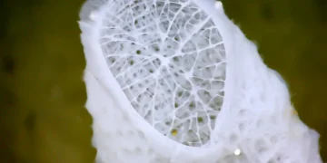 Des chercheurs capturent les mouvements des nanoparticules pour créer de nouveaux matériaux