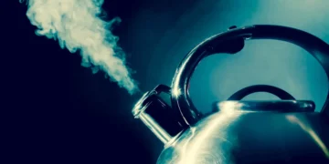 Faut-il jeter l’eau de la bouilloire entre chaque usage ? Voici ce que dit la science