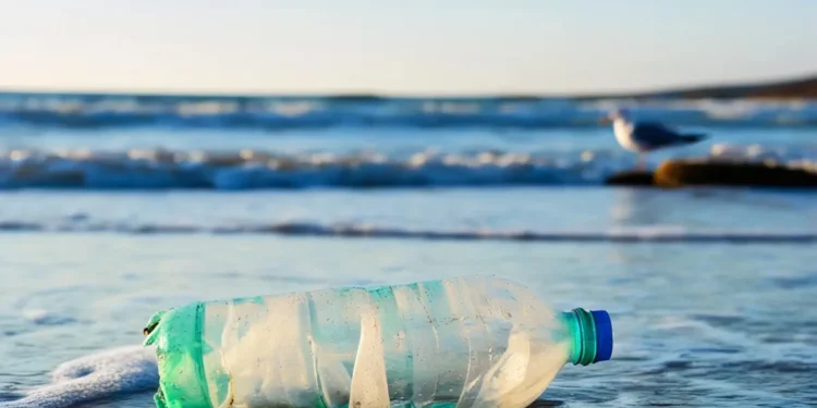 Des microbes transforment des déchets plastiques en paracétamol