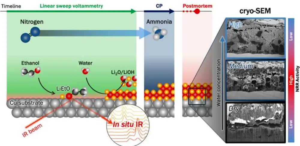 La spectroscopie infrarouge in situ couplée à la microscopie électronique à balayage cryogénique révèle comment la formation de SEI entraînée par l'eau contrôle la sélectivité dans la réaction de réduction N₂ médiée par le Li pour générer de l'ammoniac vert.