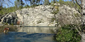 Comment la modélisation peut aider à mieux gérer la ressource en eau