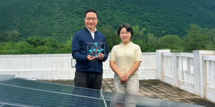 Pérovskite solaire : comment HKUST dope la robustesse grâce à la bio-inspiration