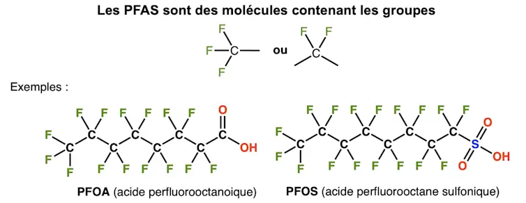 Deux exemples de PFAS particulièrement surveillés (PFOA et PFOS) — parmi la dizaine de milliers de composés PFAS existants. Guy Royal, Fourni par l'auteur