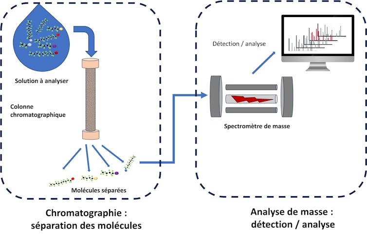 Principe de la chromatographie liquide couplée à la spectrométrie de masse en tandem (LC-MS/MS).