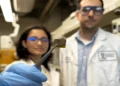 Des technologies portables sûres pour le corps et respectueuses de l'environnement