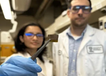 Des technologies portables sûres pour le corps et respectueuses de l'environnement