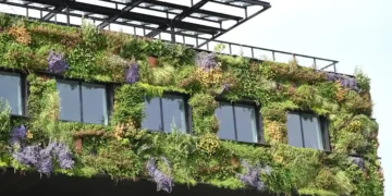 Dans les villes, comment les citoyens peuvent participer à la lutte contre la surchauffe