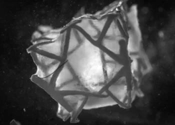 Un patch pour le cœur