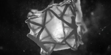 Un patch pour le cœur