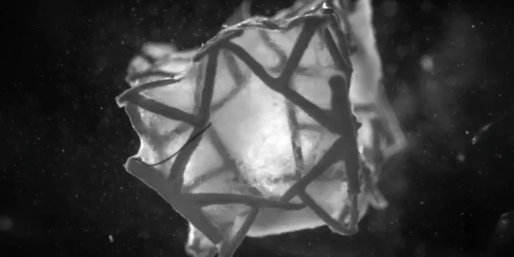 Un patch pour le cœur