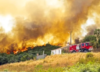 Incendie dans l'Aude : 13 500 hectares dévastés, quinze communes touchées