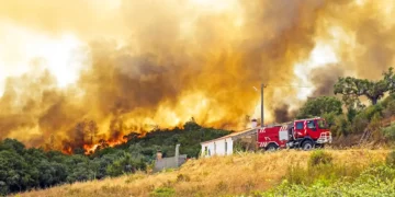 Incendie dans l'Aude : 13 500 hectares dévastés, quinze communes touchées