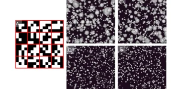 Un algorithme simple associé à un outil d'imagerie standard pourrait prédire la défaillance des piles au lithium métal