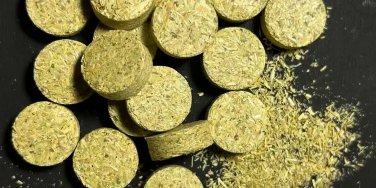 Des déchets à l'énergie : les mauvaises herbes comme source de biocarburant