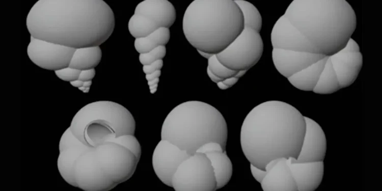 Des fossiles minuscules pour des robots plus intelligents