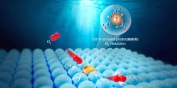 Les catalyseurs ouvrent la voie à l'énergie verte