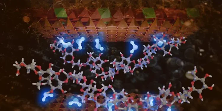 Comment la matière organique retient l'eau dans le sol - même dans les conditions les plus sèches