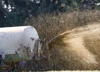 Fosse à lisier : pourquoi ce piège mortel continue de menacer nos enfants