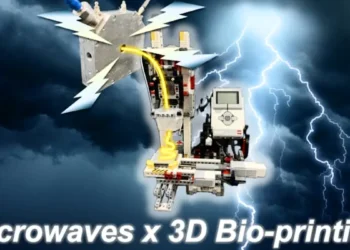 L'impression 3D au service de l'avenir des régimes alimentaires pour la dysphagie