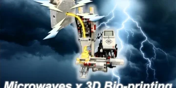 L'impression 3D au service de l'avenir des régimes alimentaires pour la dysphagie