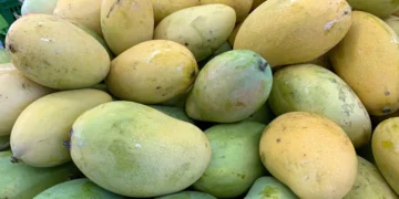 Un système innovant qui déshydrate les fruits sans chaleur