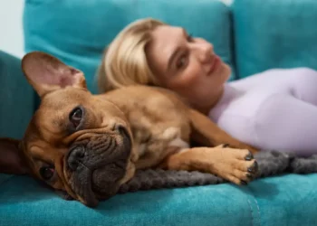 Journée mondiale du chien : 45 minutes suffisent pour revenir à un état de calme